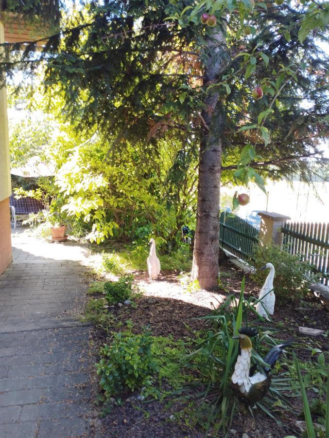 B&B Family Basement Apartment, Breakfast, Free Parking, 5Km From Tulln Chorherrn Extérieur photo