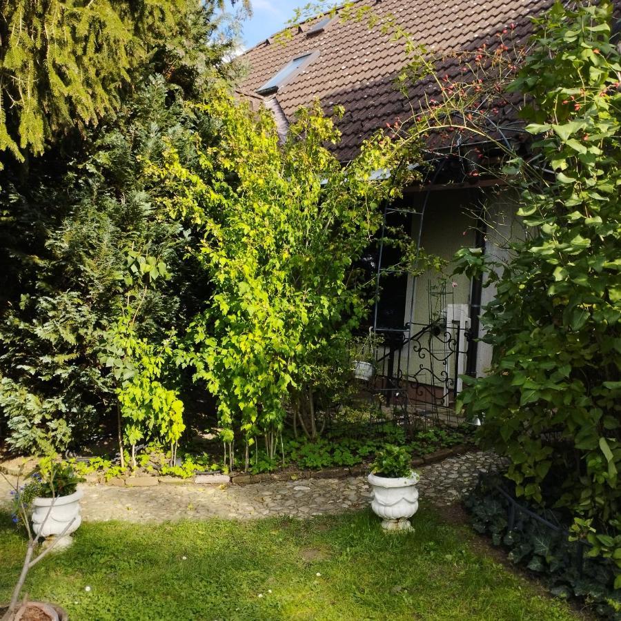 B&B Family Basement Apartment, Breakfast, Free Parking, 5Km From Tulln Chorherrn Extérieur photo